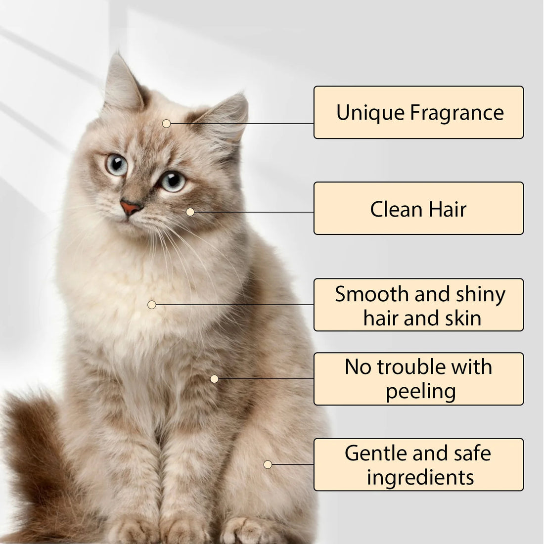 Pet Wash Shampoo Dogs Hair Soften Dirts Mites Removal Flea Killer Dog Shampoo