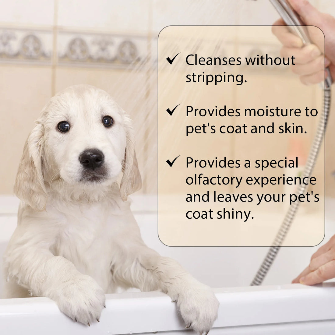 Pet Wash Shampoo Dogs Hair Soften Dirts Mites Removal Flea Killer Dog Shampoo