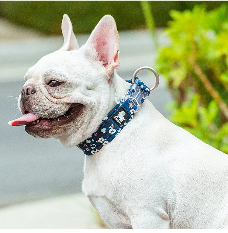 Truelove Floral Pet Collar Best Padded Comfort Cushion Dogs and Pets