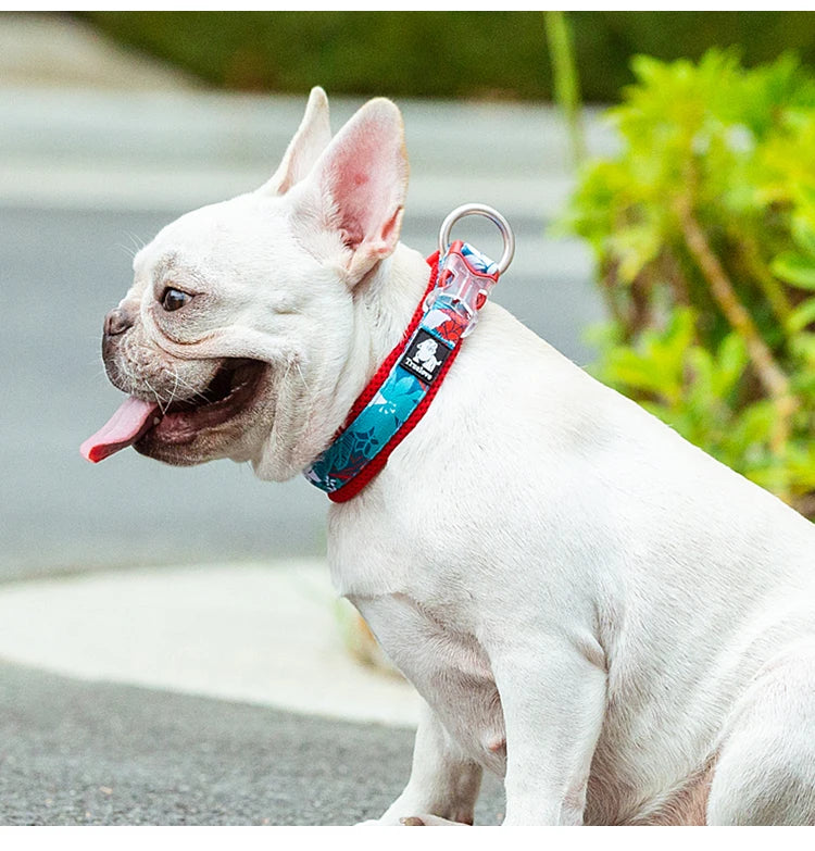 Truelove Floral Pet Collar Best Padded Comfort Cushion Dogs and Pets