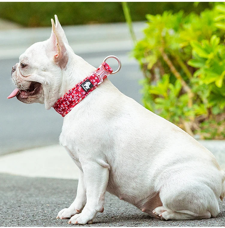 Truelove Floral Pet Collar Best Padded Comfort Cushion Dogs and Pets