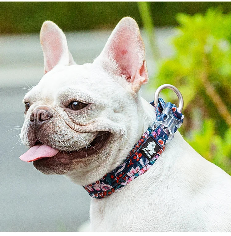 Truelove Floral Pet Collar Best Padded Comfort Cushion Dogs and Pets