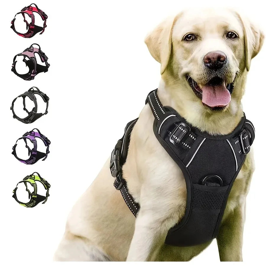 Dog Collars Harness Big Vests Leash Pet Shop Everything for Dogs Leather Puppy