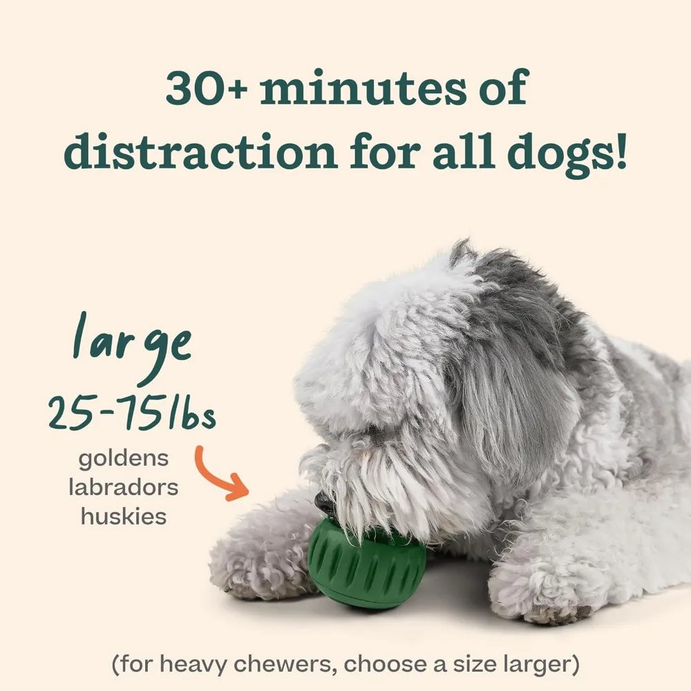 Interactive Dog Ball Toy with Treat Molds and Healthy Chicken Flavored Treats