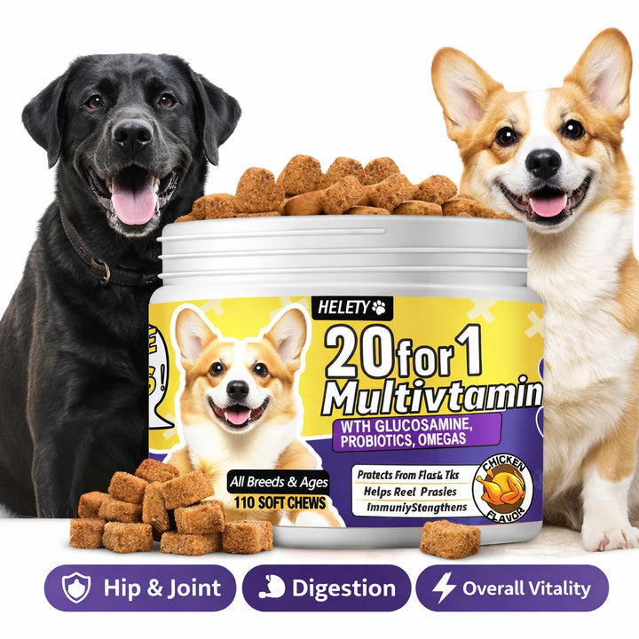 20-in-1 Dog Multivitamin Soft Chews Skin Coat Immune Gut Health for Dogs