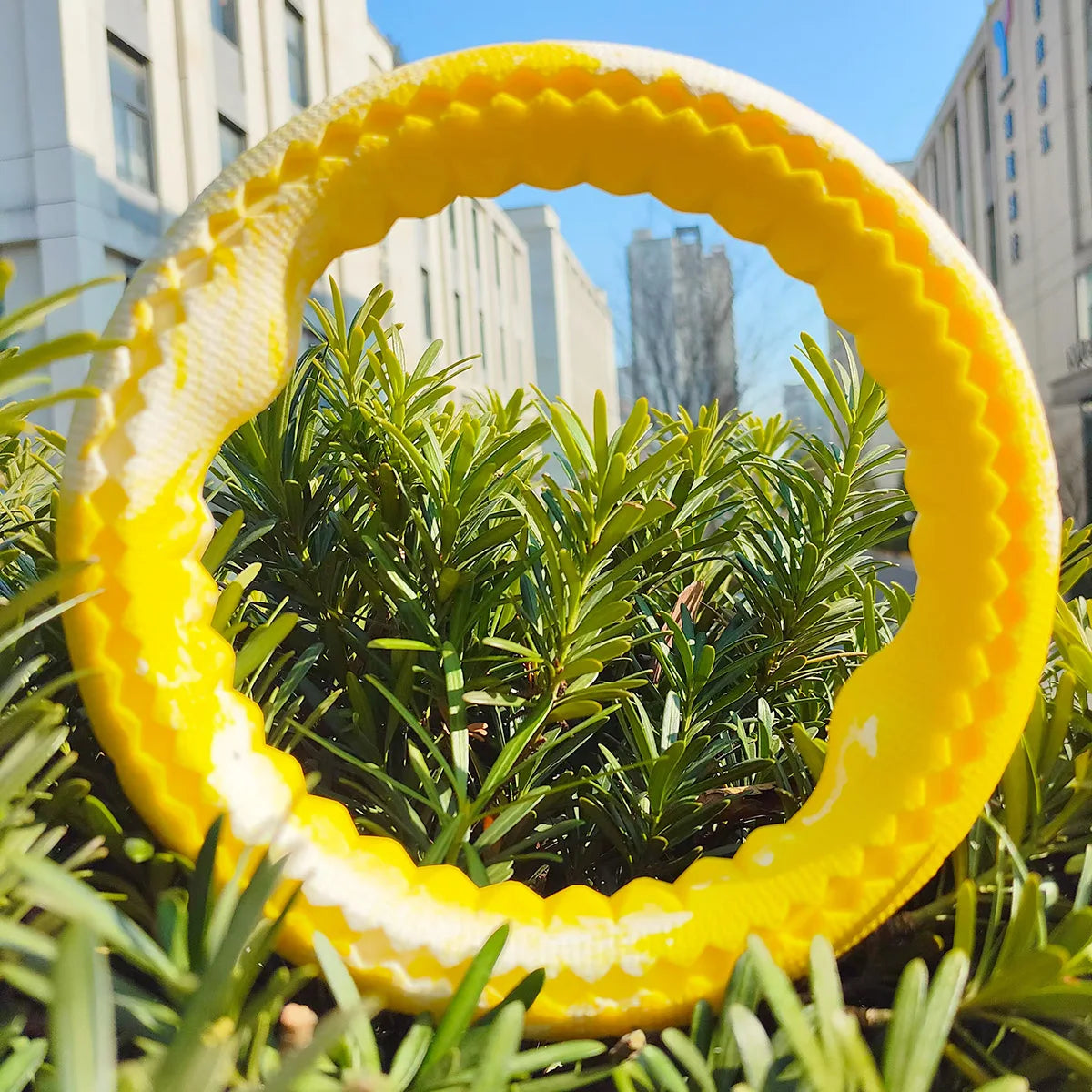 Pet dog rubber bite ring, bite resistant grinding training interactive small dogs