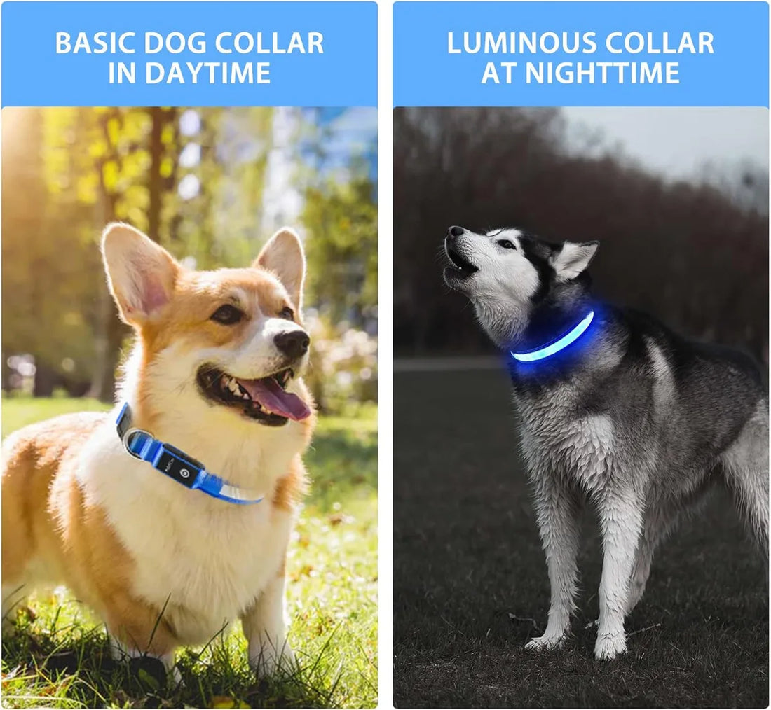 Adjustable Comfortable Soft Mesh Safety Collar Dogs, Colorful Lights for Nighttime