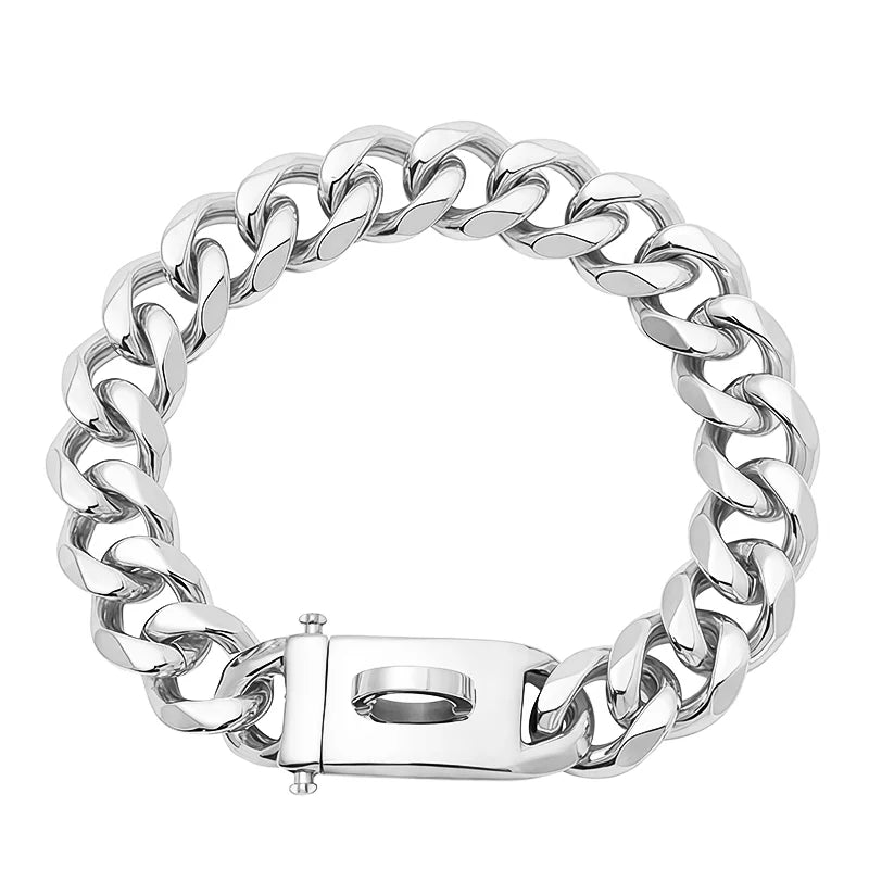 Gold Dog Collar Stainless Steel Metal Pet Choker Silver 19mm Wide Lead for Dogs