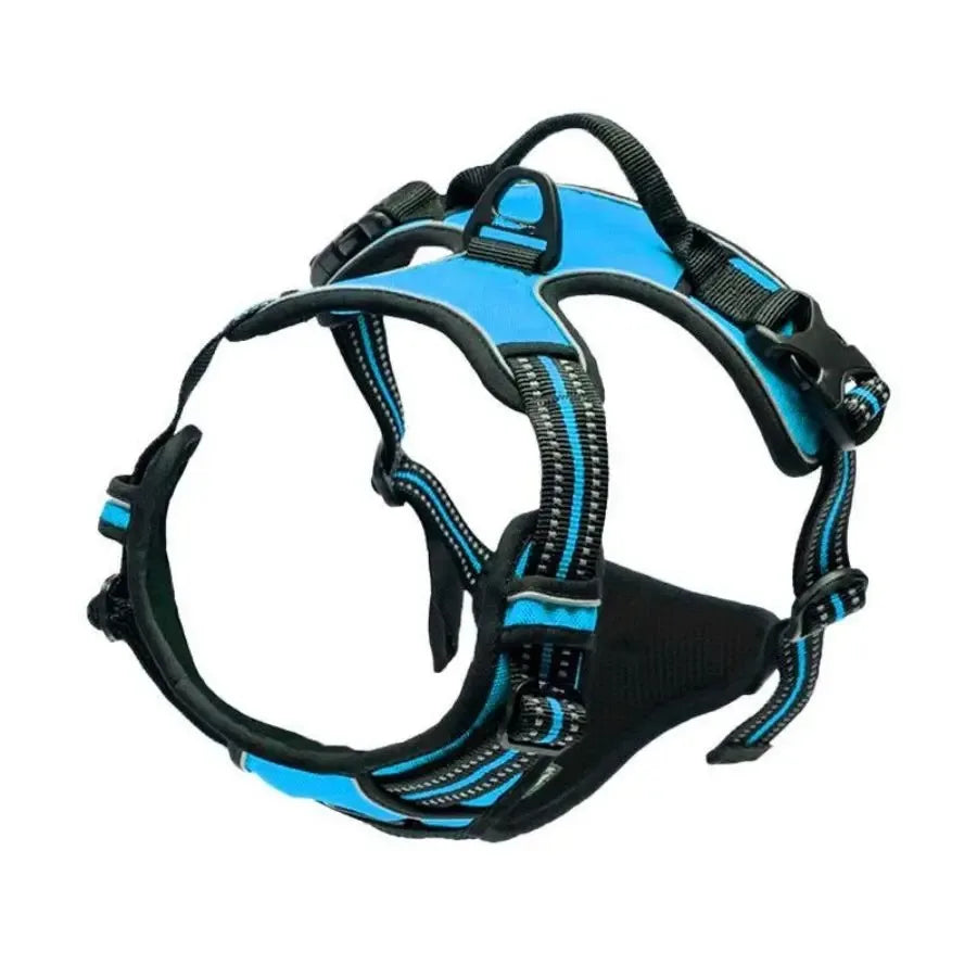 Dog Collars Harness Big Vests Leash Pet Shop Everything for Dogs Leather Puppy