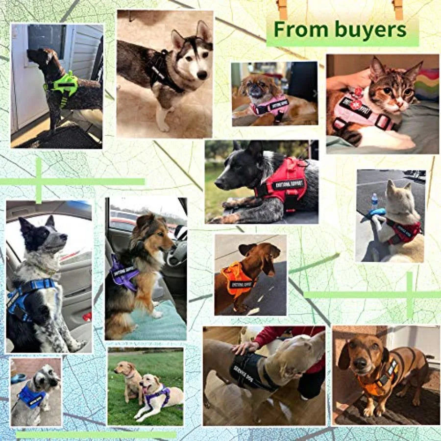 Service Dog Harness Eal Support Pet Vest Harness Reflective Breathable Harness