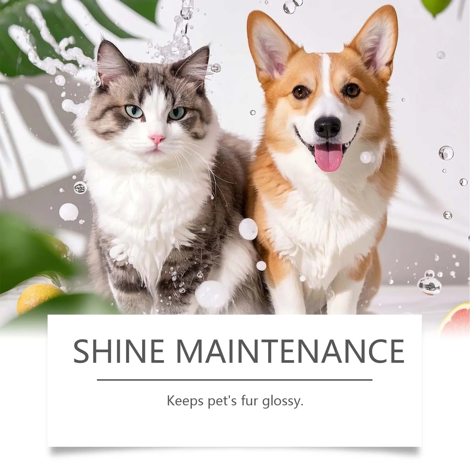 EelJoy 5-in-1 Pet Shampoo Gentle Fur Cleaning And Care Maintains Smooth