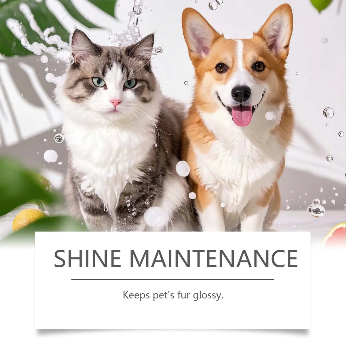 EelJoy 5-in-1 Pet Shampoo Gentle Fur Cleaning And Care Maintains Smooth