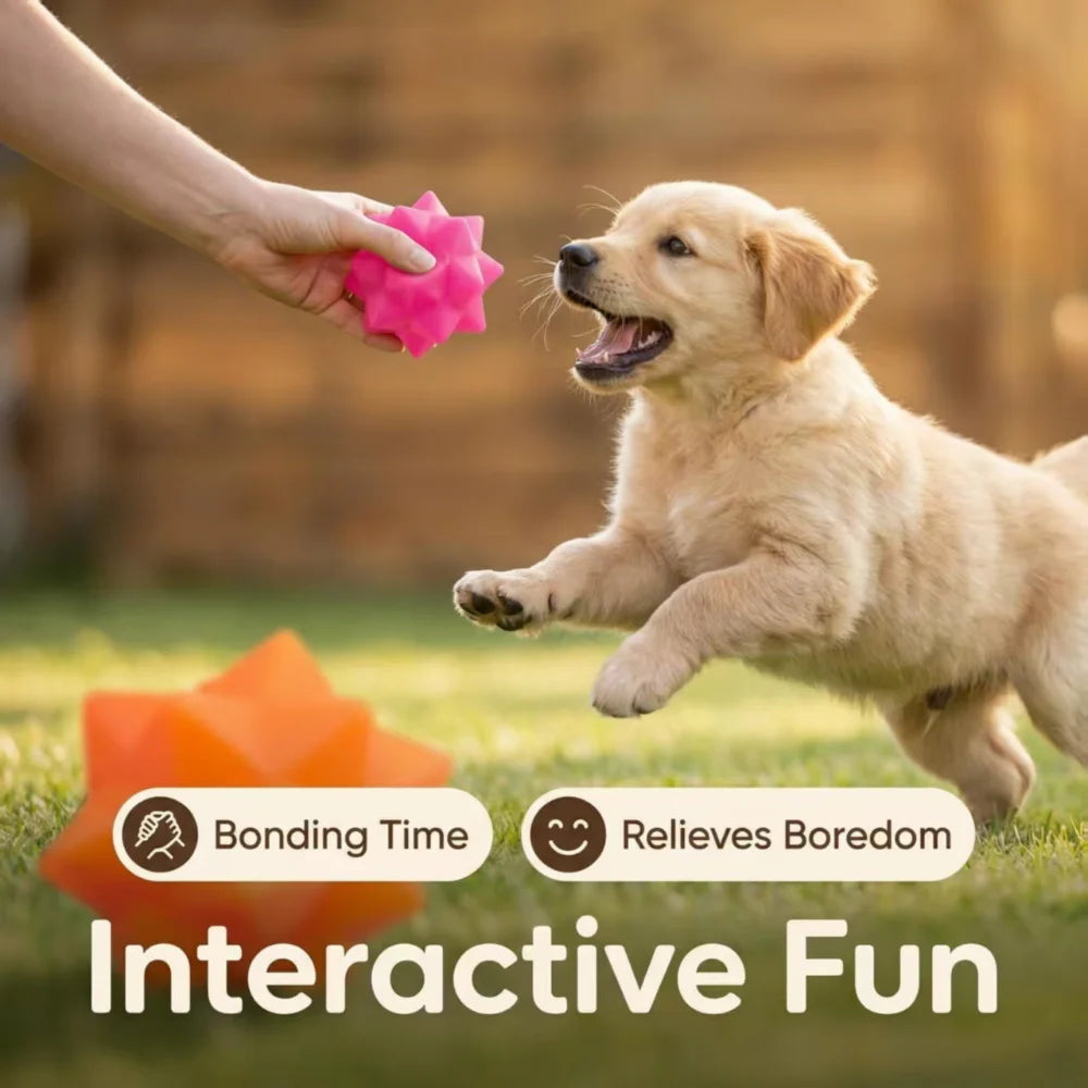 Creative Enamel-Coated PVC Fun Shape Chew Toy for Large Dogs: Durable Bite