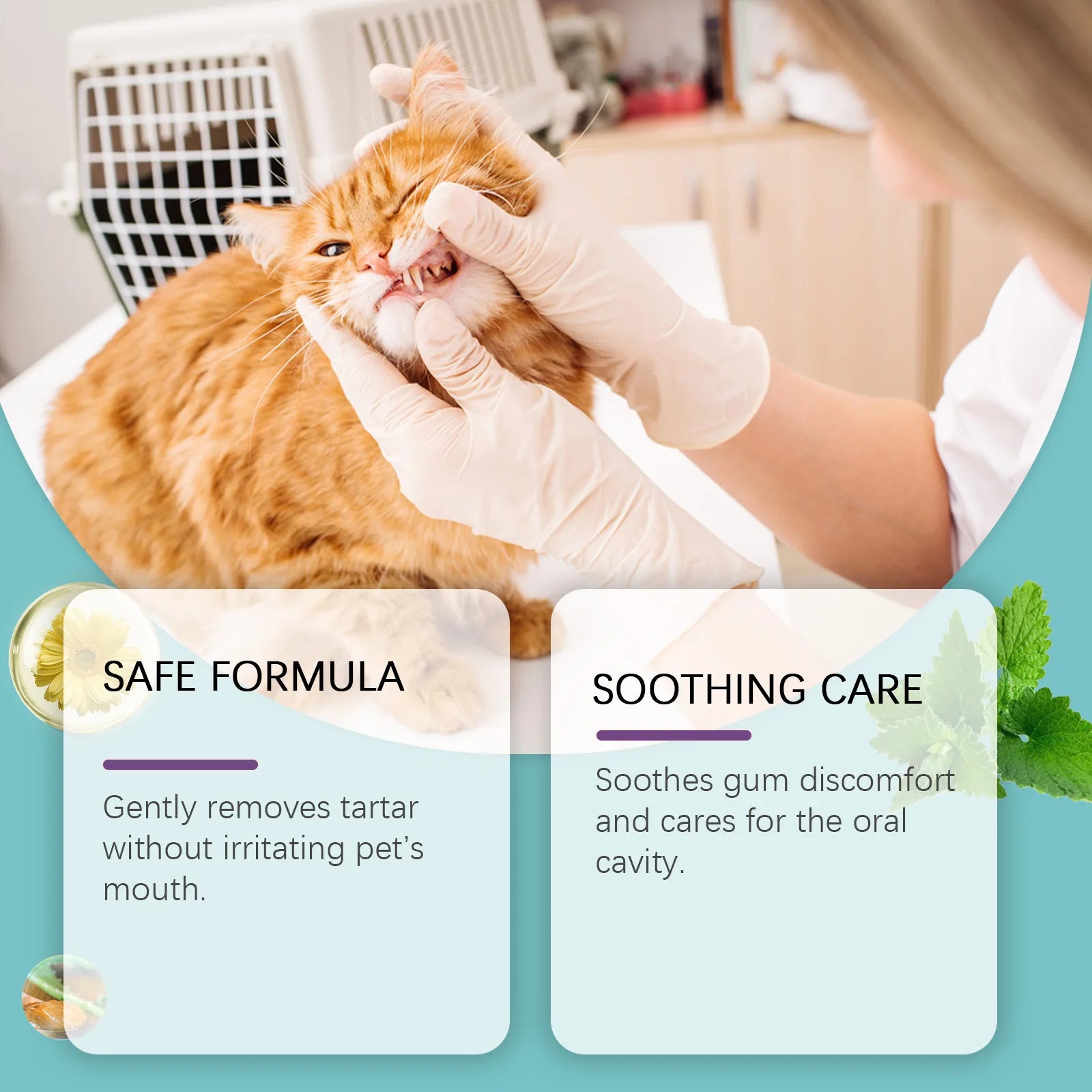 Yegbong Pet Teeth Finger Wipes Tartar Removal Oral Stain Cleaning Tooth