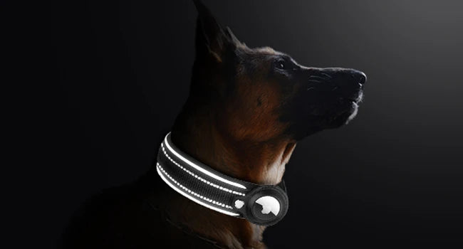 New For Apple Pet Dog Collar Anti-Lost Reflective Protective Tracker Dog Collar