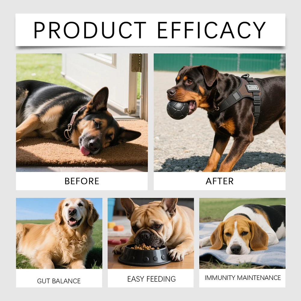 200g Dog Allergy Relief Immune Chews,Itch Relief Skin Coat Supplement