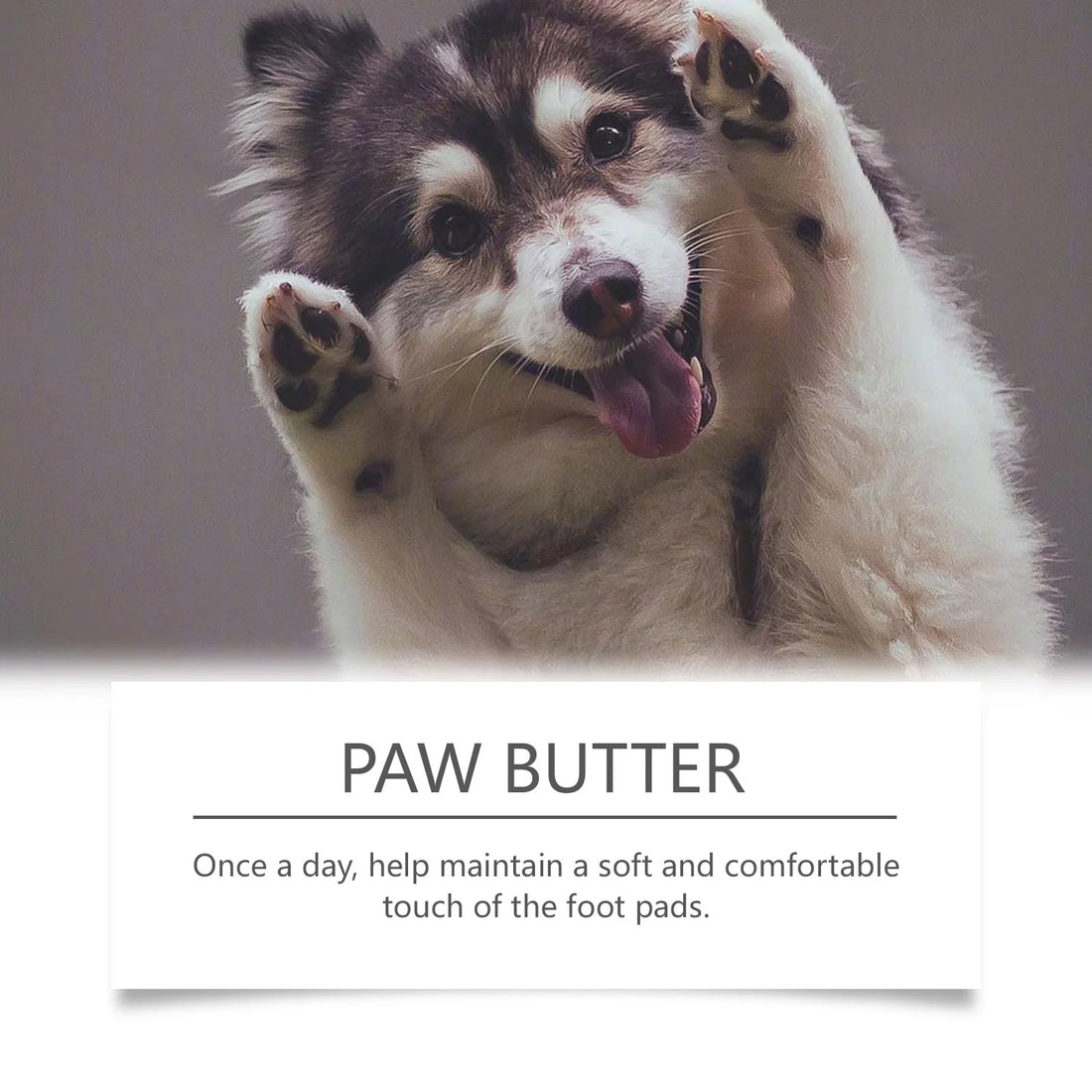 Paw Care Cream for Dogs Deep Moisturizing Improve Drying Pet Paw