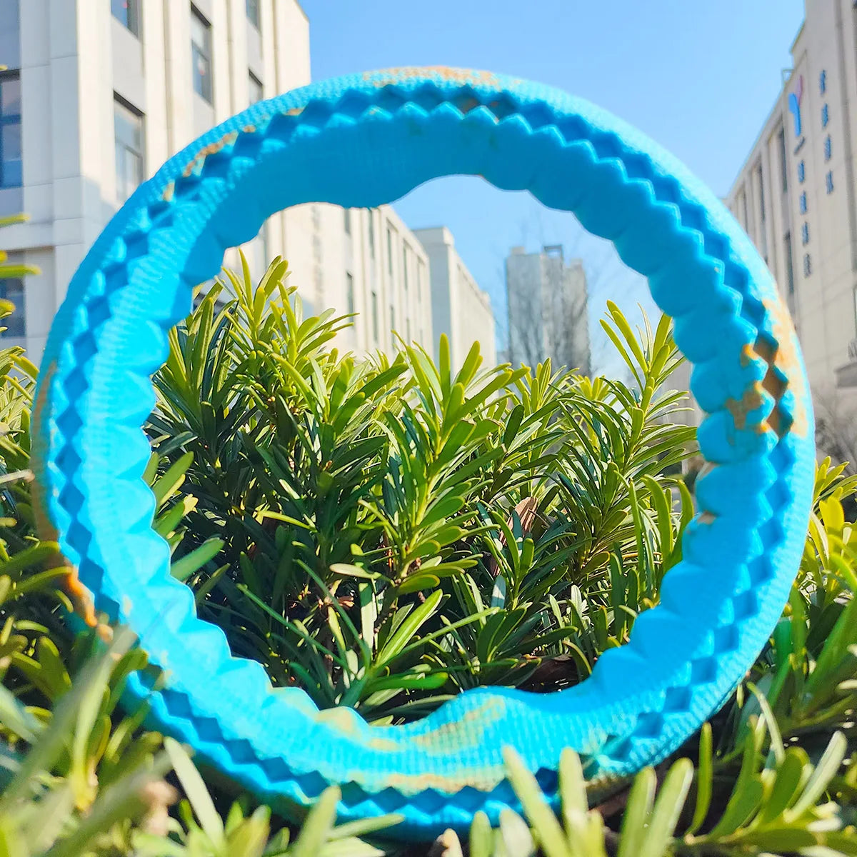 Pet dog rubber bite ring, bite resistant grinding training interactive small dogs