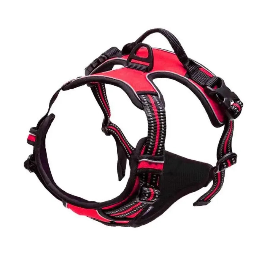 Dog Collars Harness Big Vests Leash Pet Shop Everything for Dogs Leather Puppy