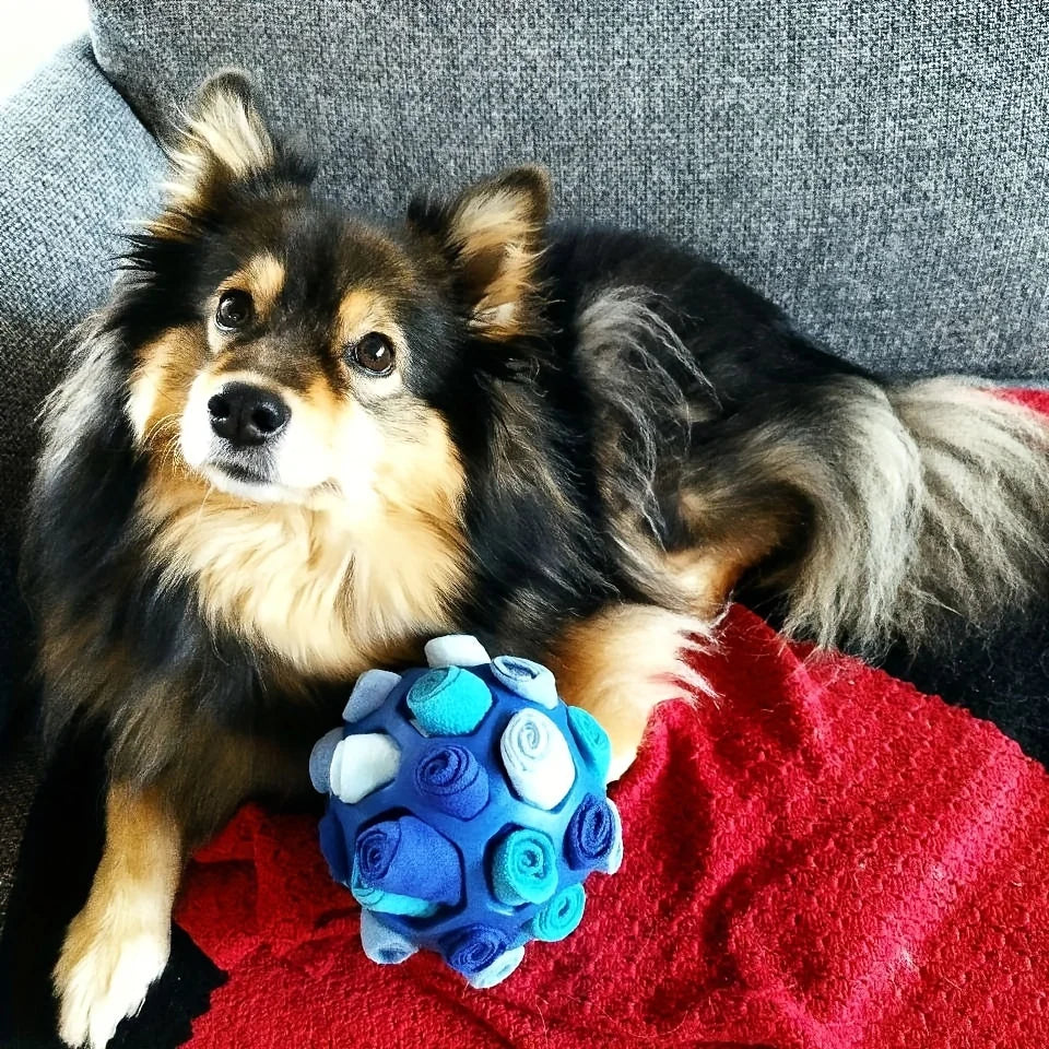 1pcs Interactive Dog Toy - Sniffing Ball for Hiding Treats - Rubber Puzzle Ball