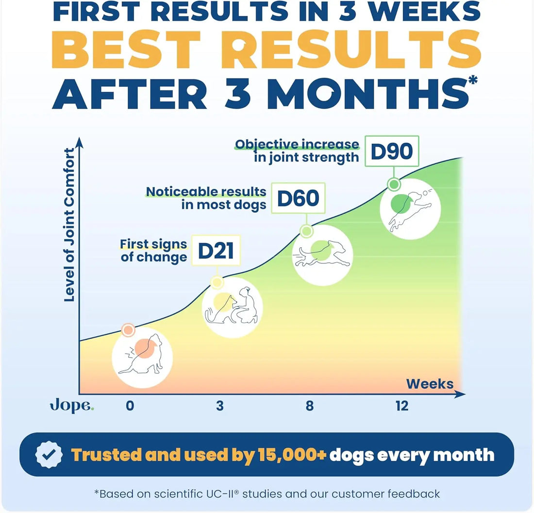 50 Counts Hip & Joint Supplement for Dogs Joint Chews Collagen Health