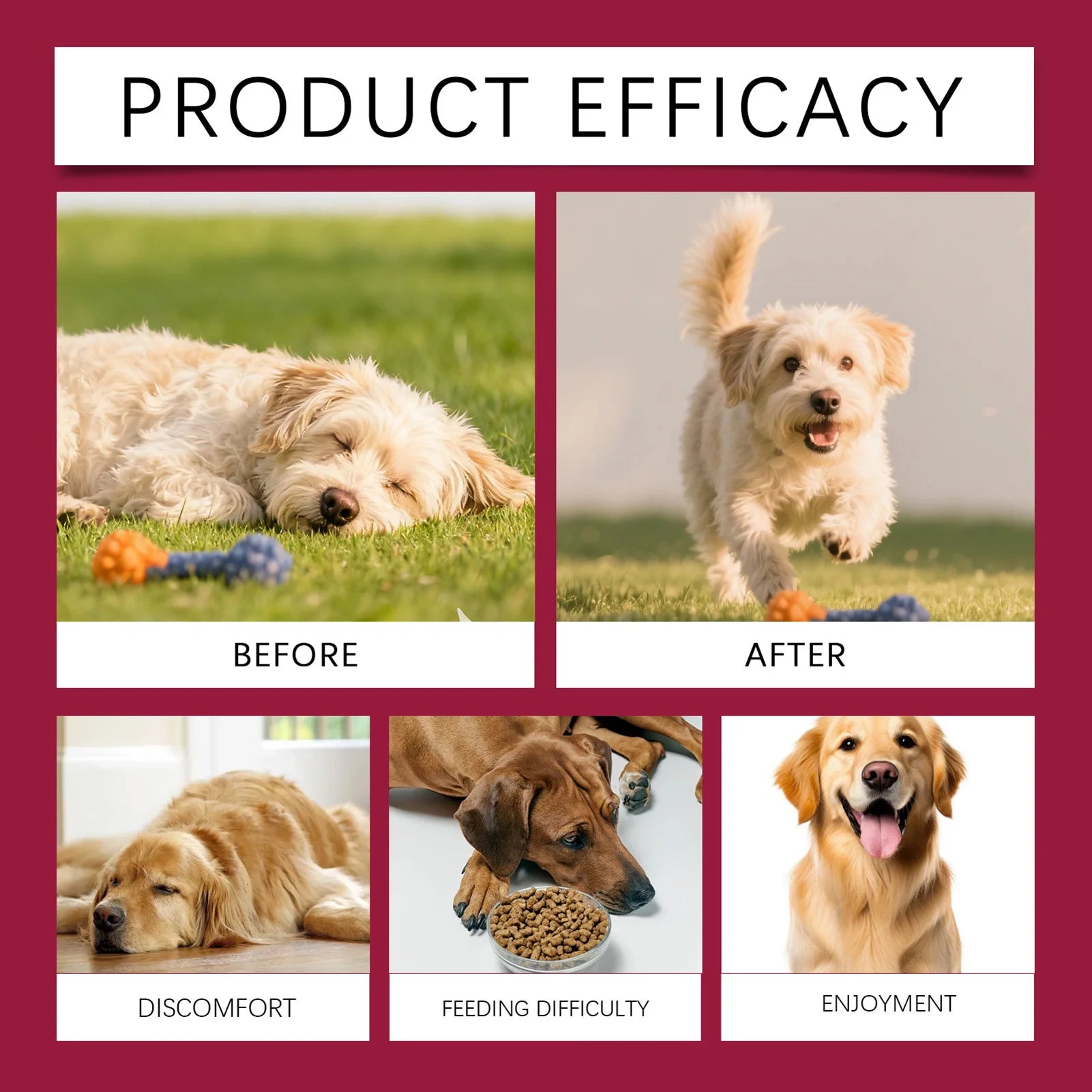 200g Joint Health Supplement For Dogs Relieves Joint Discomfort Supplement