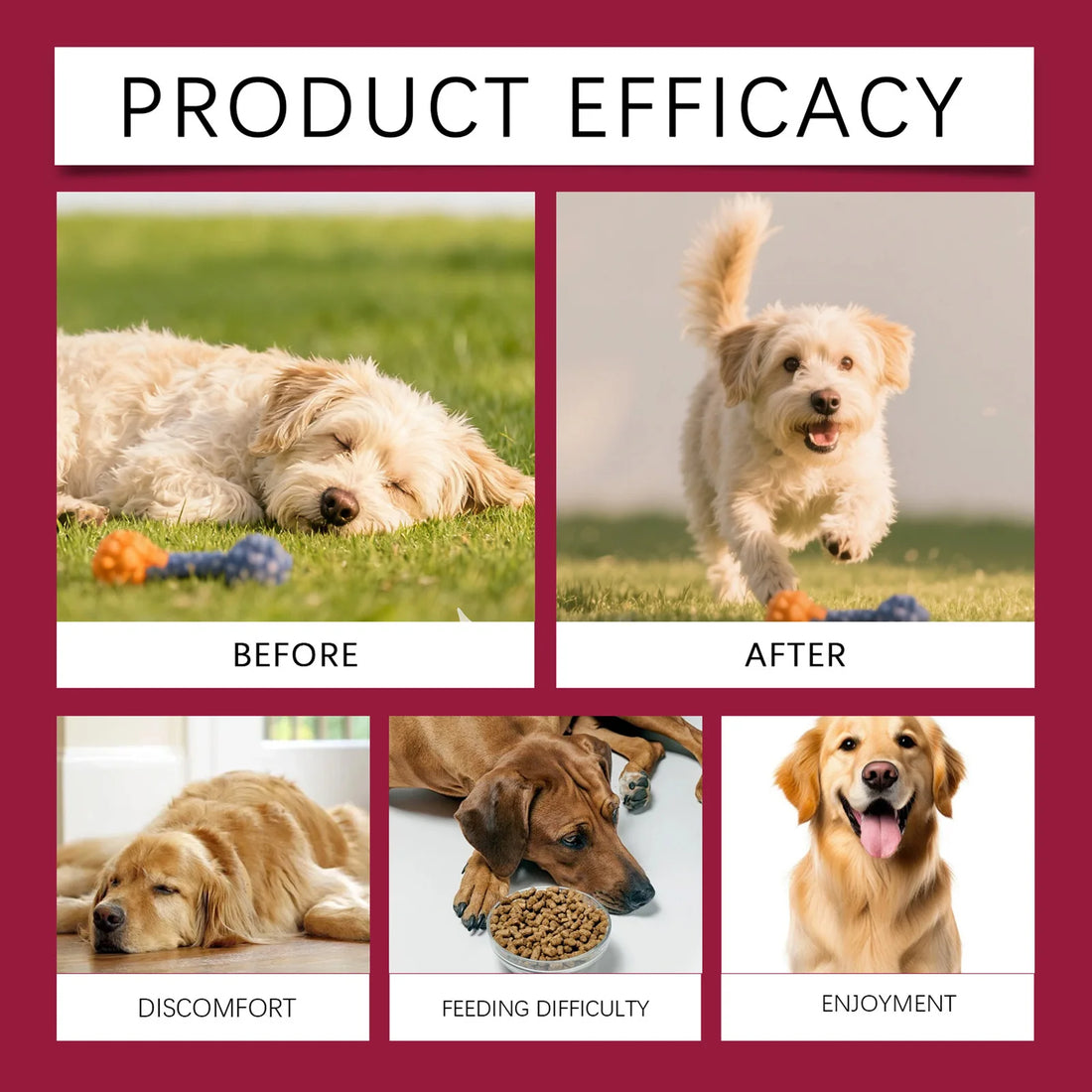 200g Joint Health Supplement For Dogs Relieves Joint Discomfort Supplement