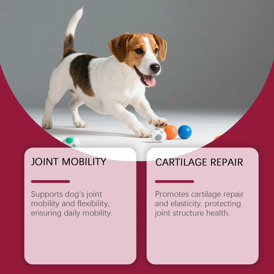200g Joint Health Supplement For Dogs Relieves Joint Discomfort Supplement