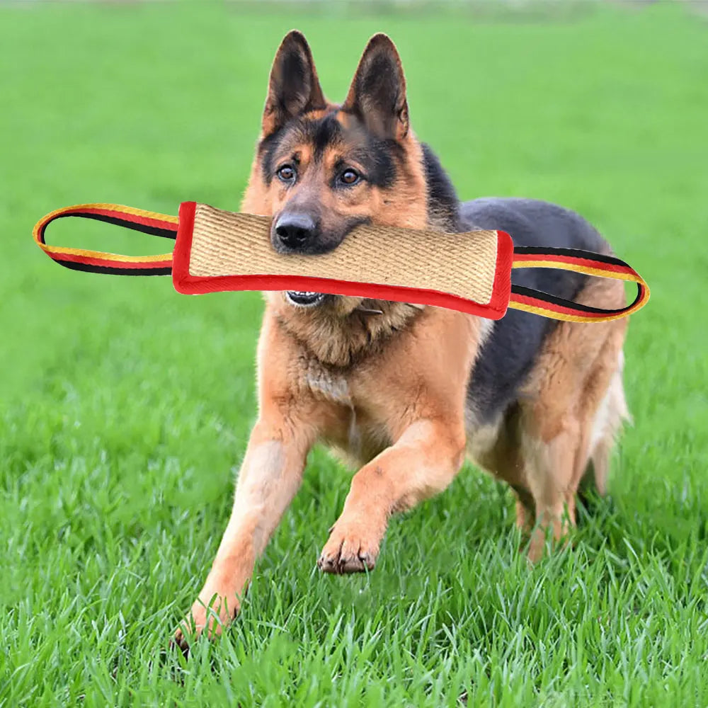 Heavy Duty Dog Chewing Stick for Bite Resistance Training Fun Pet Behavior