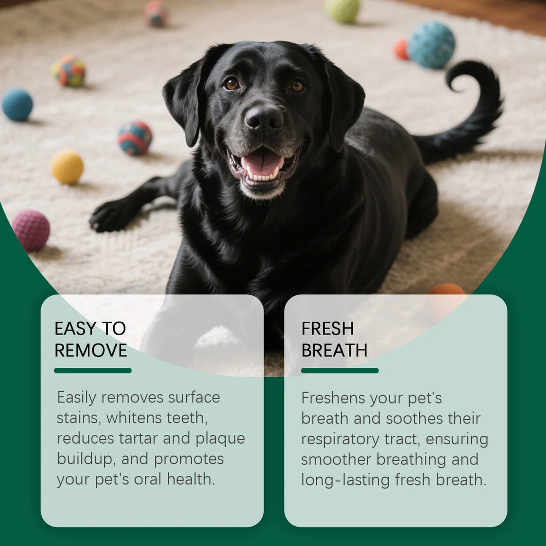 Pet Teeth Cleaning Wipes Cleans Food Residues in Teeth Gaps Eliminates Bad