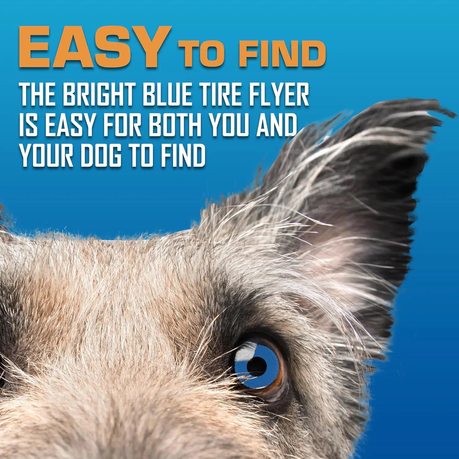 10-Inch Flying Disc Dog Toy, Rubber Fetch Toy for Medium and Large Dogs