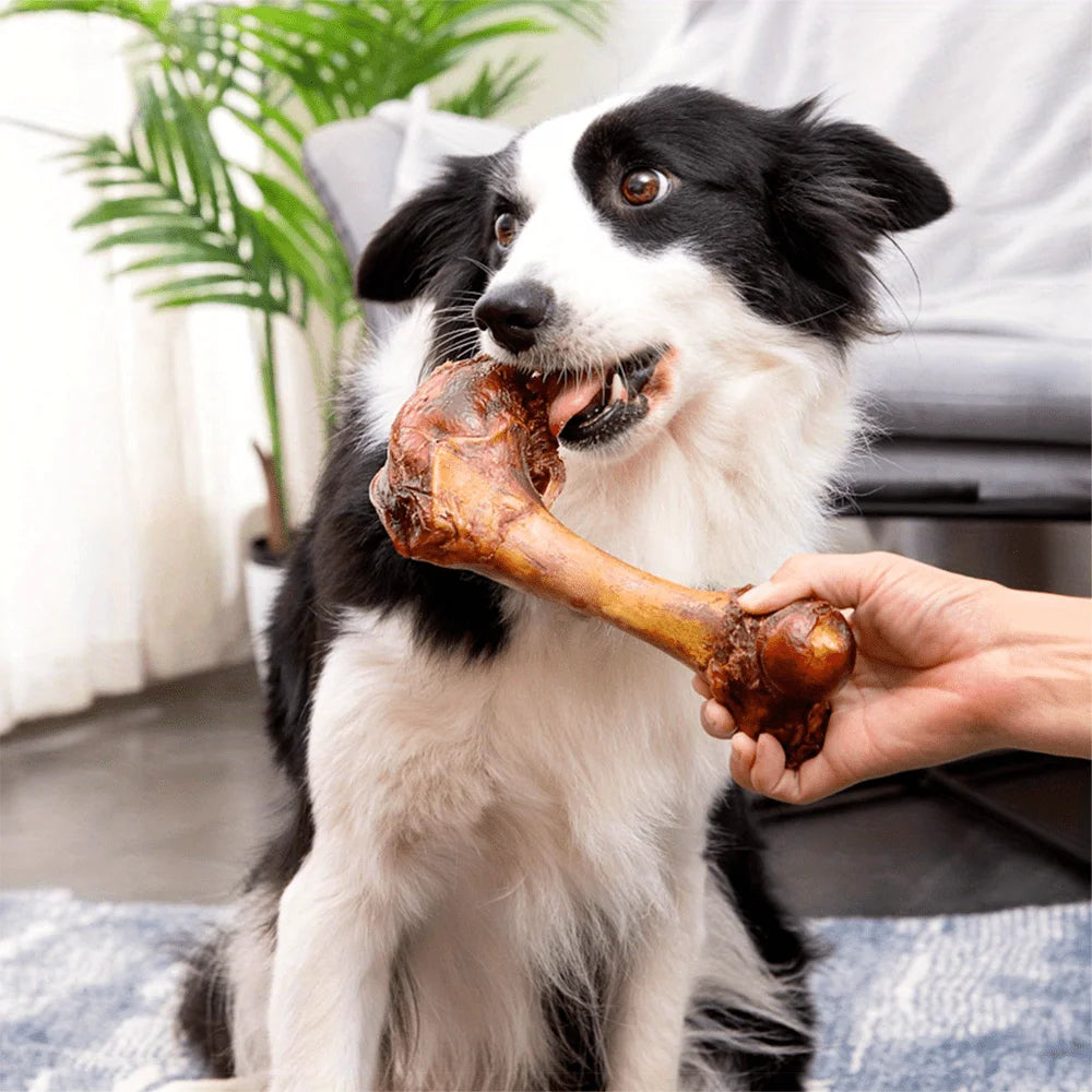 Middle Large Cow Bone, All Natural Ingredients, Natural Dog Treats, Healthy