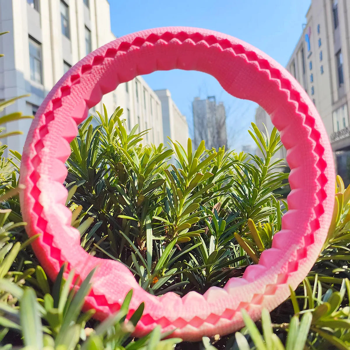 Pet dog rubber bite ring, bite resistant grinding training interactive small dogs