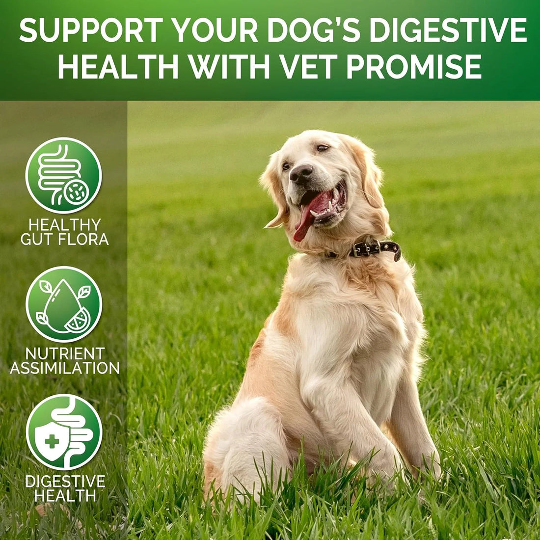 Probiotics for Dogs Relieve stomach sensitivity and dog gut health Chews