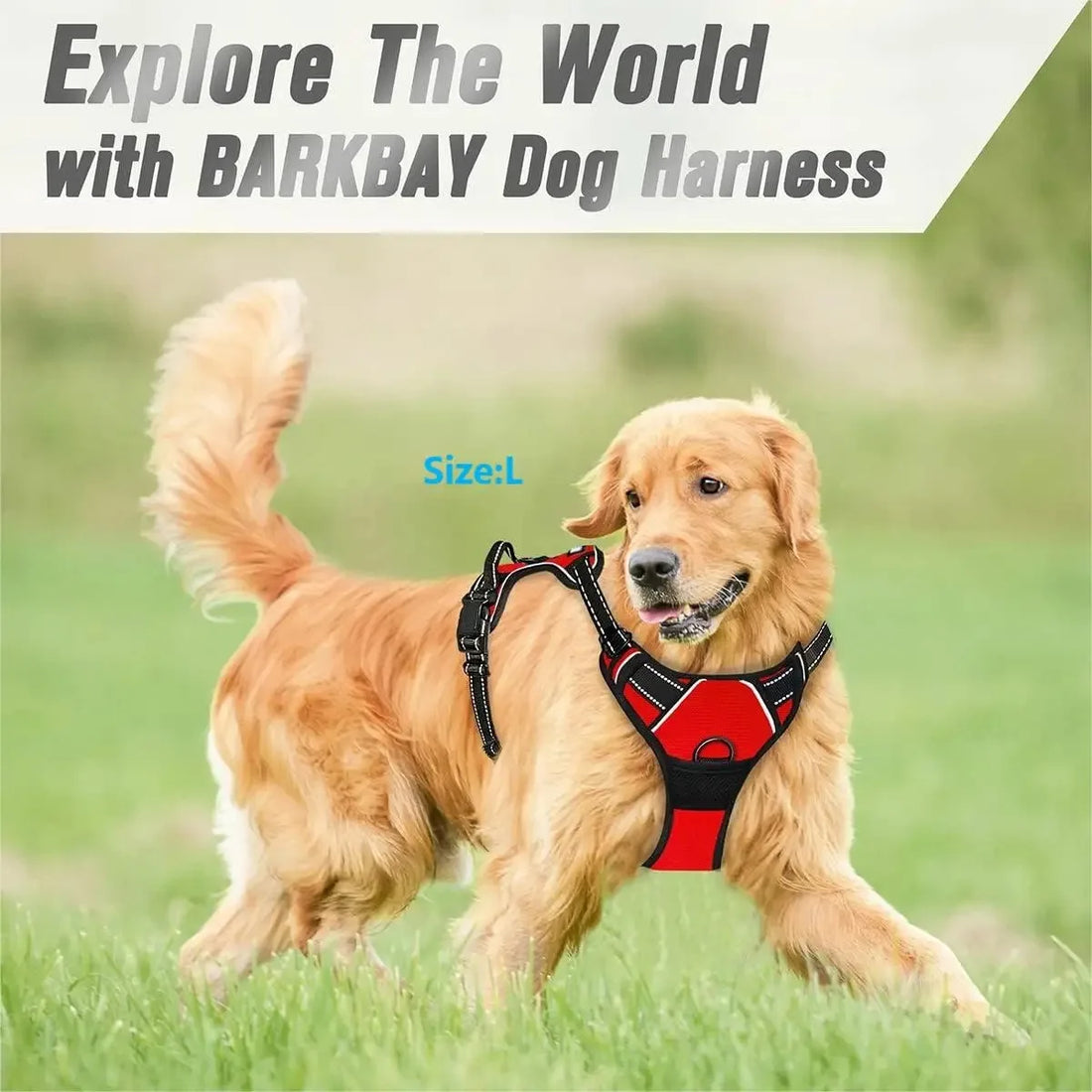 Dog Collars Harness Big Vests Leash Pet Shop Everything for Dogs Leather Puppy