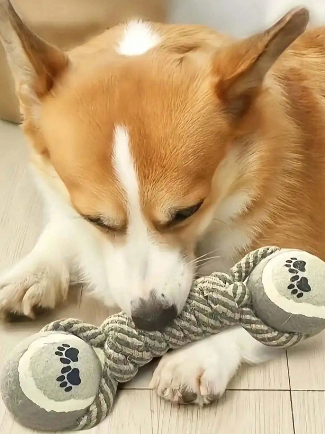 Teeth cleaning pet toy, dog chew durable toy, cat and dog teeth cleaning supplies