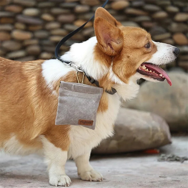 Walking Dog Snack Pocket with Carabiner Hands Free Pet Treat Bag Waist Pack