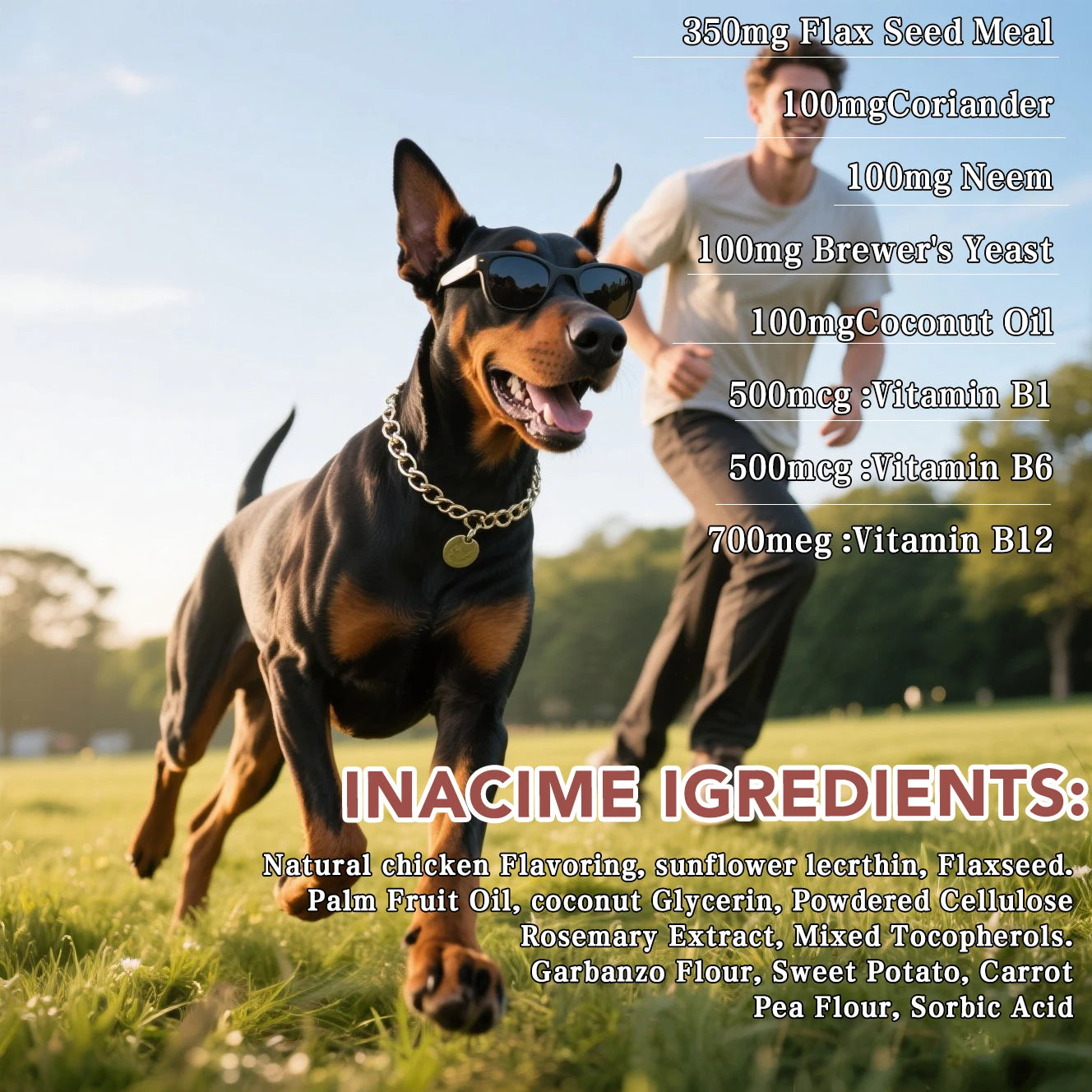 20-in-1 Dog Multivitamin Soft Chews Skin Coat Immune Gut Health for Dogs