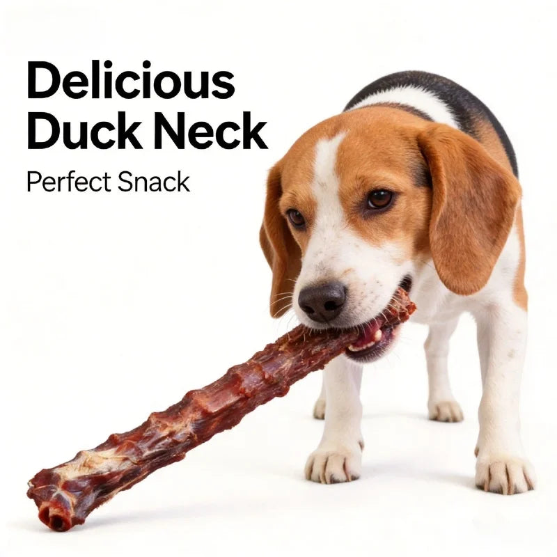 200g Air-Dried Duck Neck Dog Treats Delicious Flavor Natural Teeth Chews