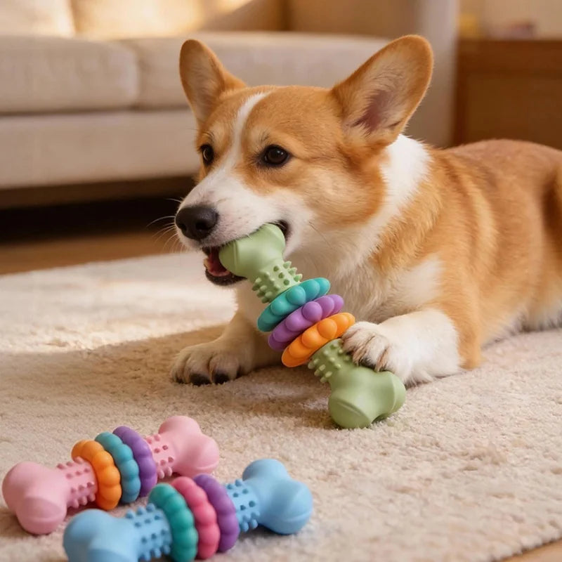 Bite Resistant Dog Chew Toy - Sturdy Rubber Toothbrush Bone Puppies