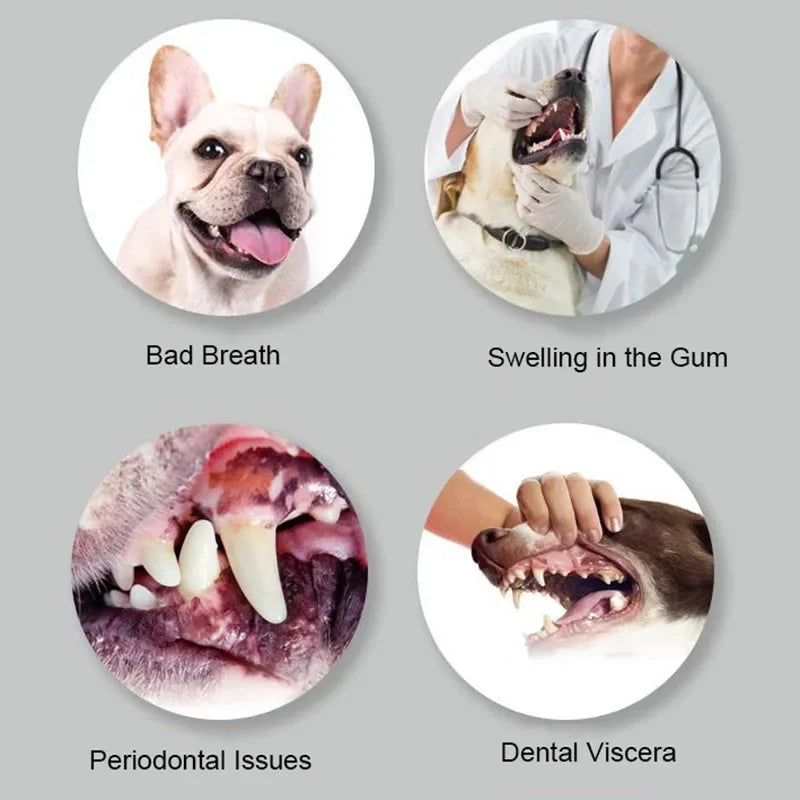 Tooth Brush For Pet Dog Cat Plastic Healthy Toothbrush Mouth Cleaning Pet