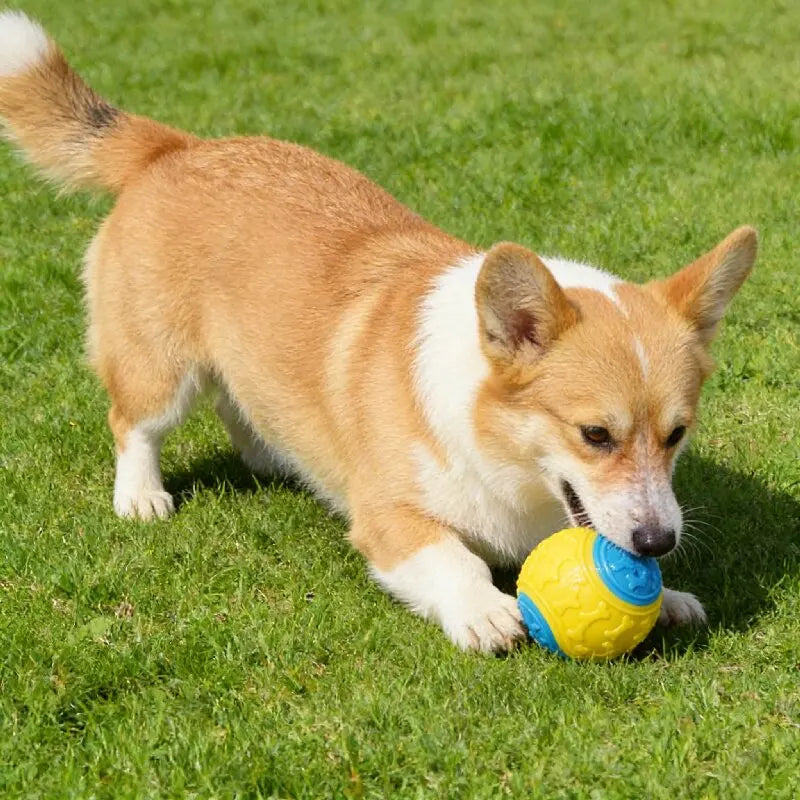 Dog Ball Toy TPR Bite Resistant Throw Fetch Interactive Pet Toy Teeth Cleaning