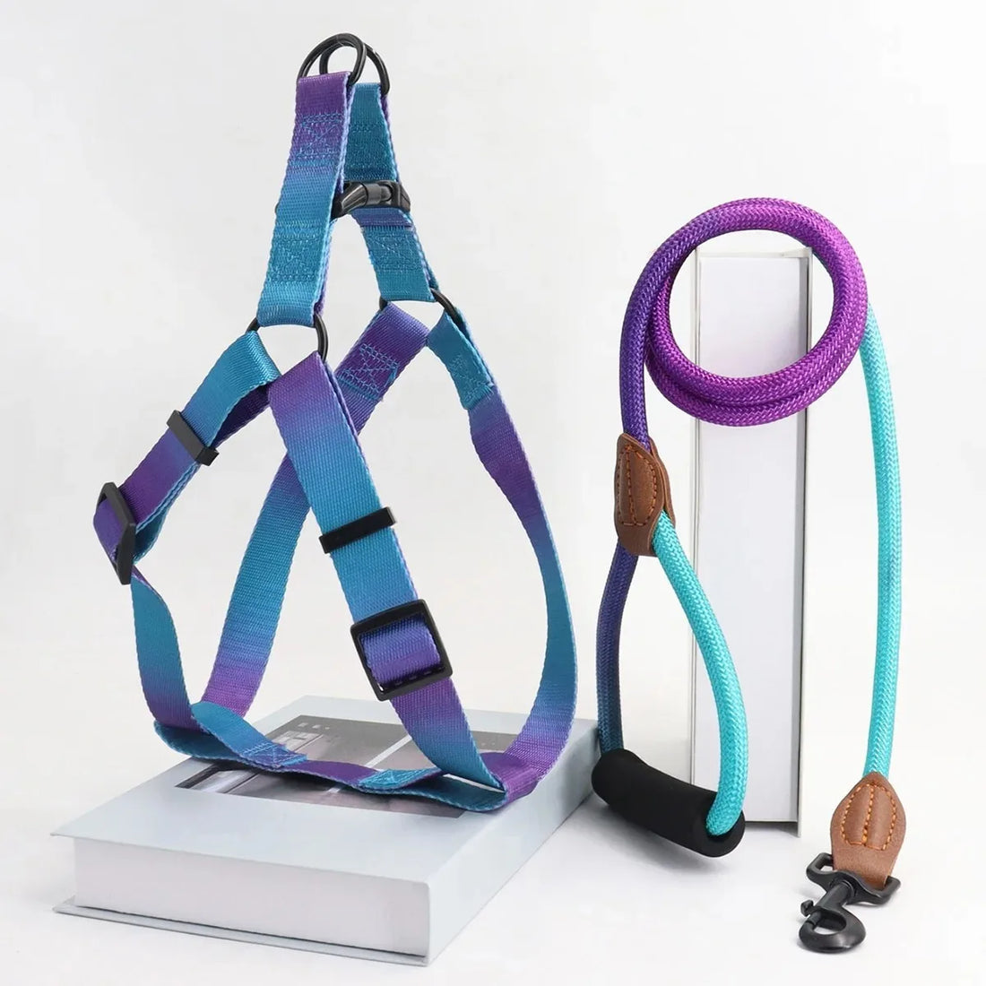 Dog Harness for Dogs Small Dog Leash Pet Supplies Puppy Accessories Collars