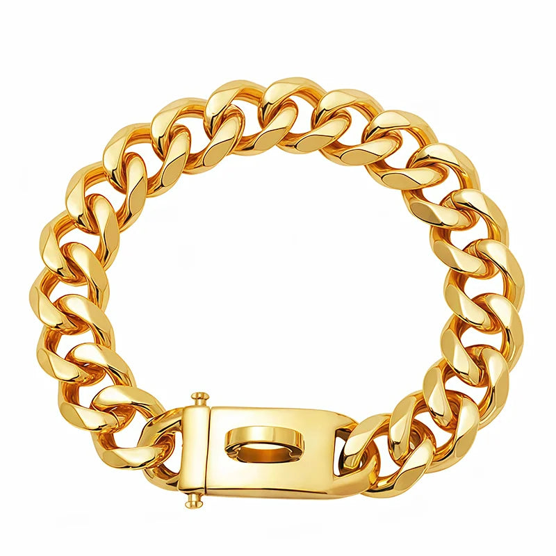 Gold Dog Collar Stainless Steel Metal Pet Choker Silver 19mm Wide Lead for Dogs