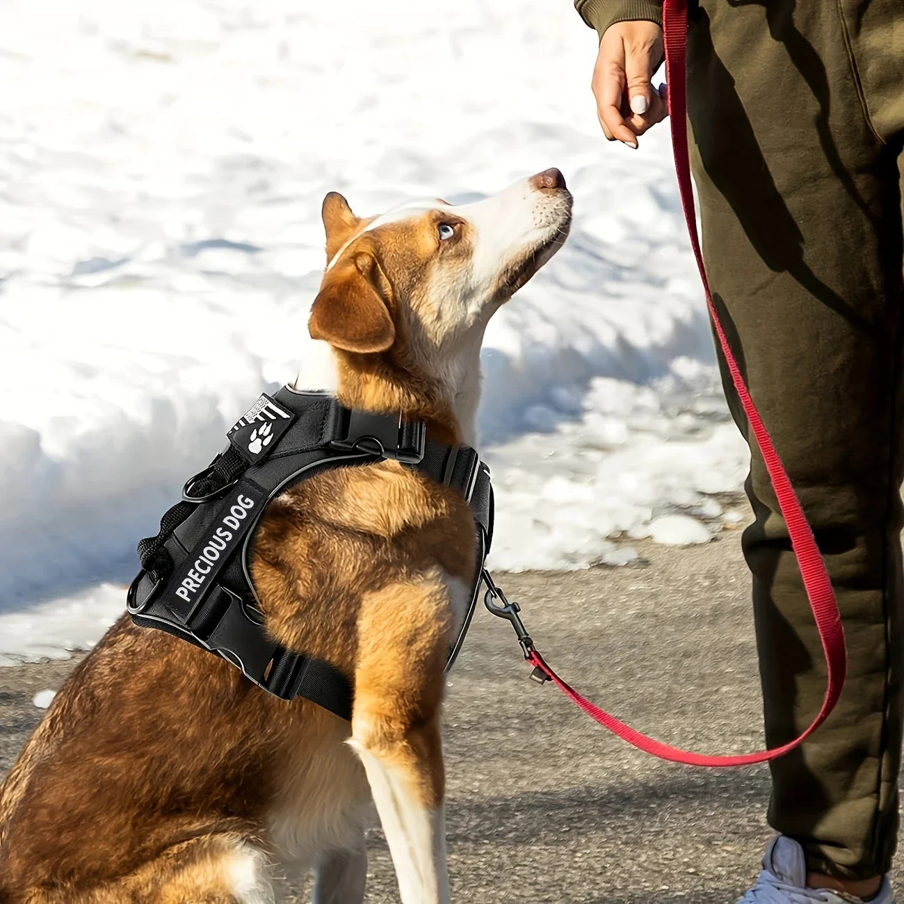Anti-Pull Tactical Dog Harness with Night Reflective Strips Heavy-Duty Military Dog