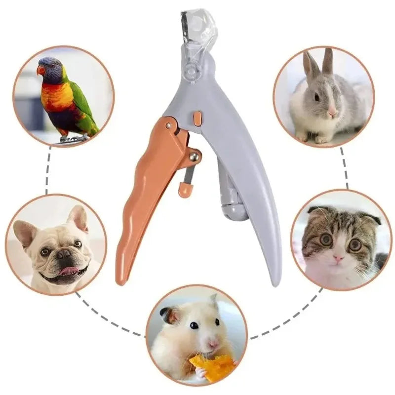 Dog Nail Clipper with LED Light for Precise Cutting, Stainless Steel Home Grooming