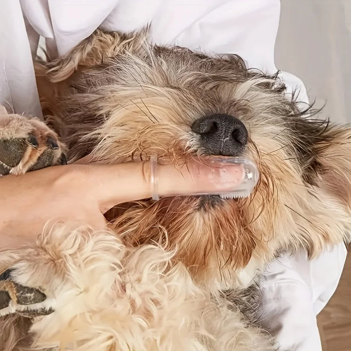5 Units Pet Soft Toothbrush Dog Cat Finger Brush Remove Dental Pet Oral Care