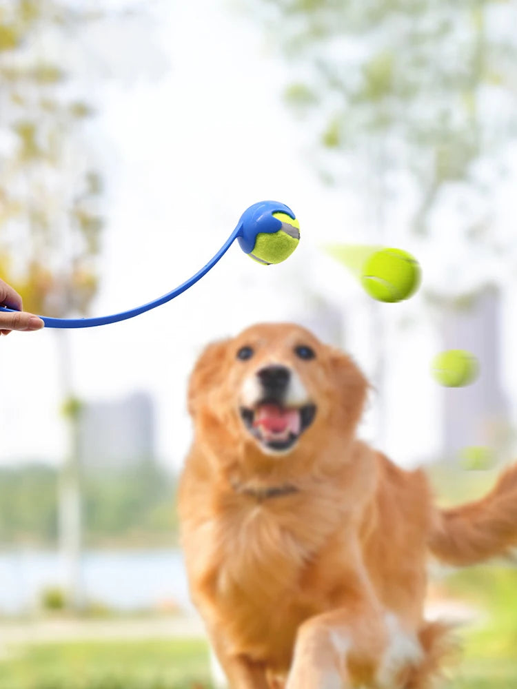 Pet Throwing Stick Toy Interactive Ball for Dogs Cats Training Fetch Game