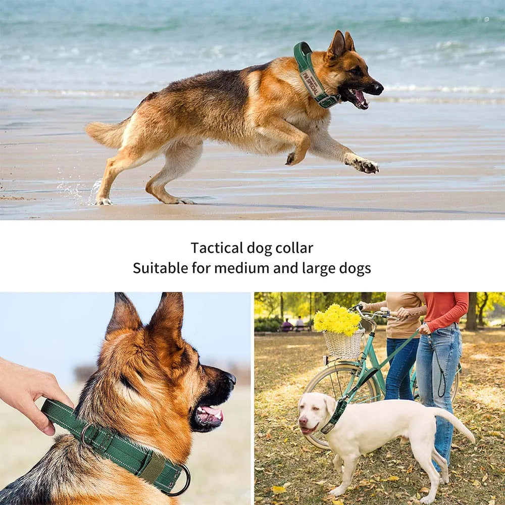 Heavy Duty Double Buckle Design Tactical Dog Collar - Military Grade Dog Collar