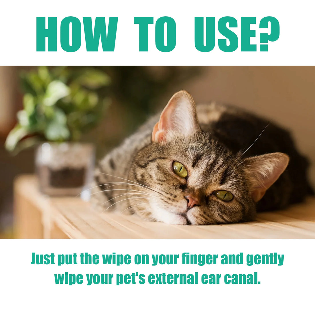 Pet Cleaning Wipes Gentle Cleaning Pet Ear Mites Ear Wax Eye Wax Paws